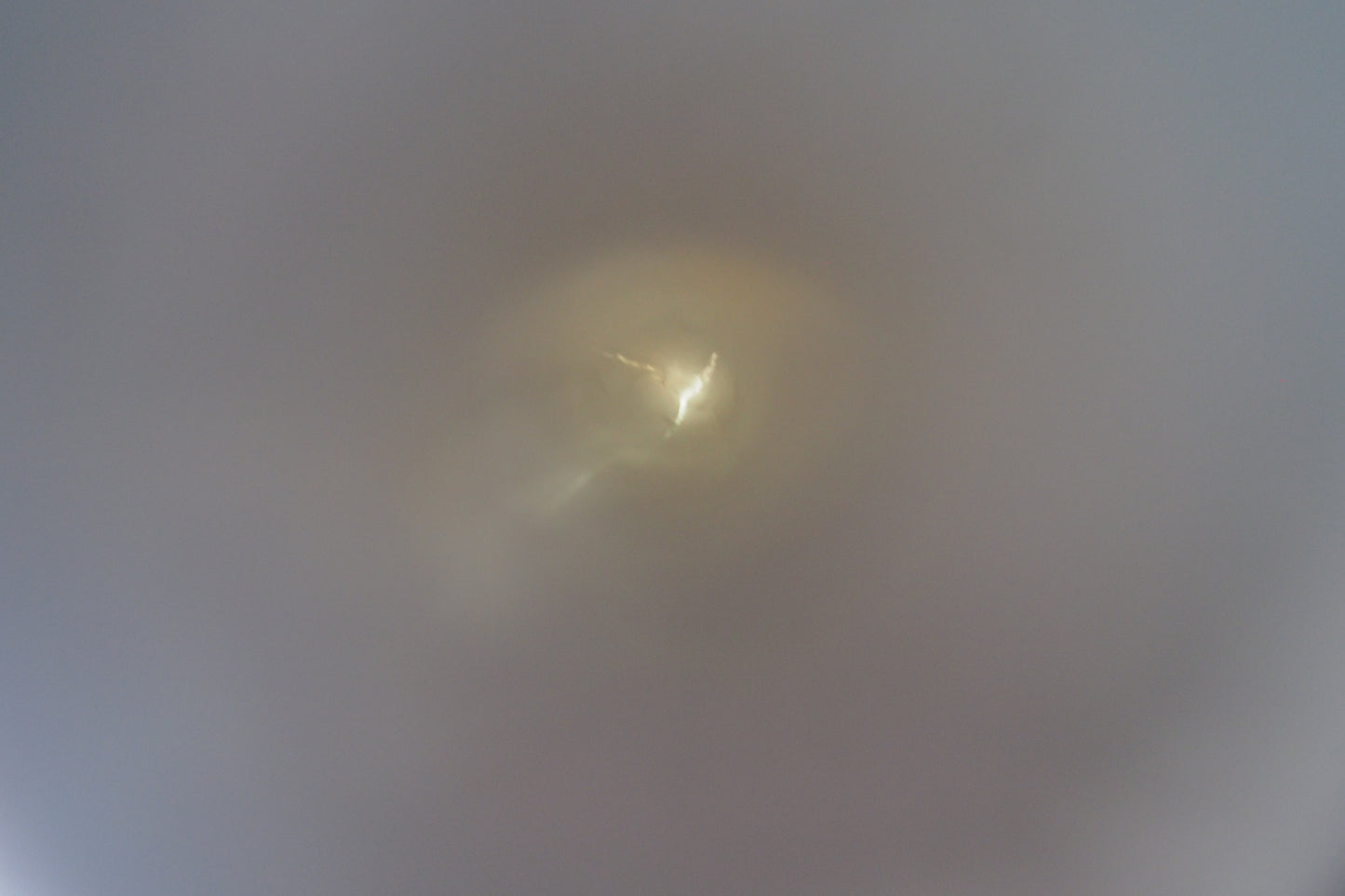 Stars: Carved porcelain Christmas tree