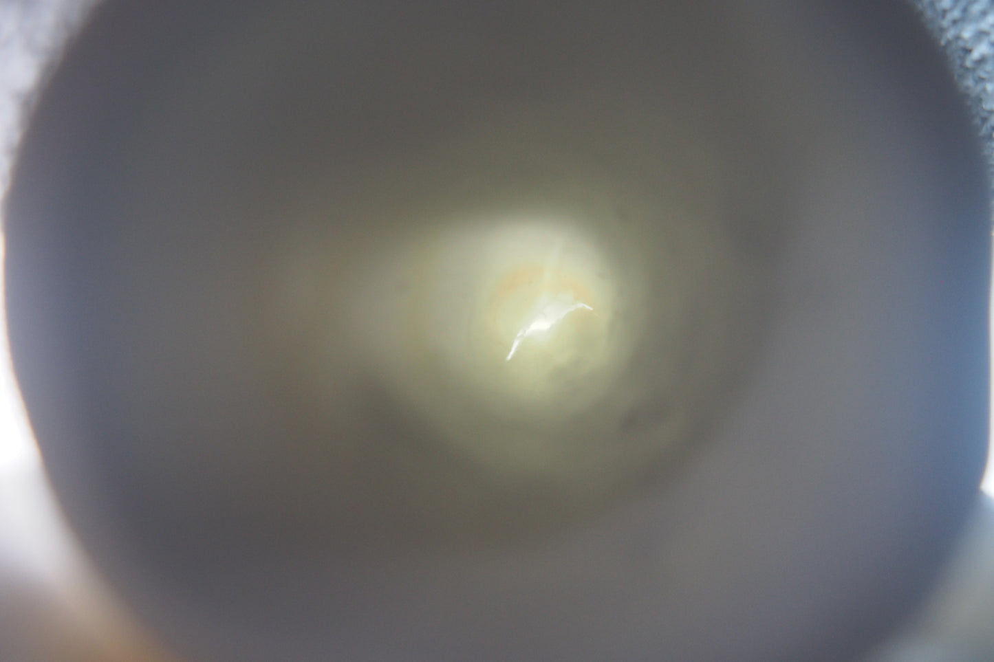 Baby Charm: Hand carved porcelain Christmas tree